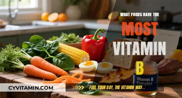 Boost Your Energy: Top Vitamin B-Rich Foods Revealed