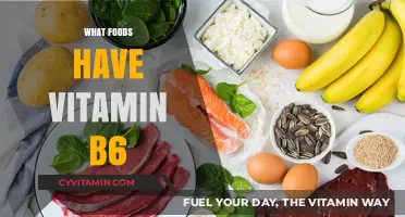 Boost Your B6: Top Foods to Include in Your Diet