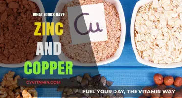 Boost Your Health: Top Foods Rich in Zinc and Copper