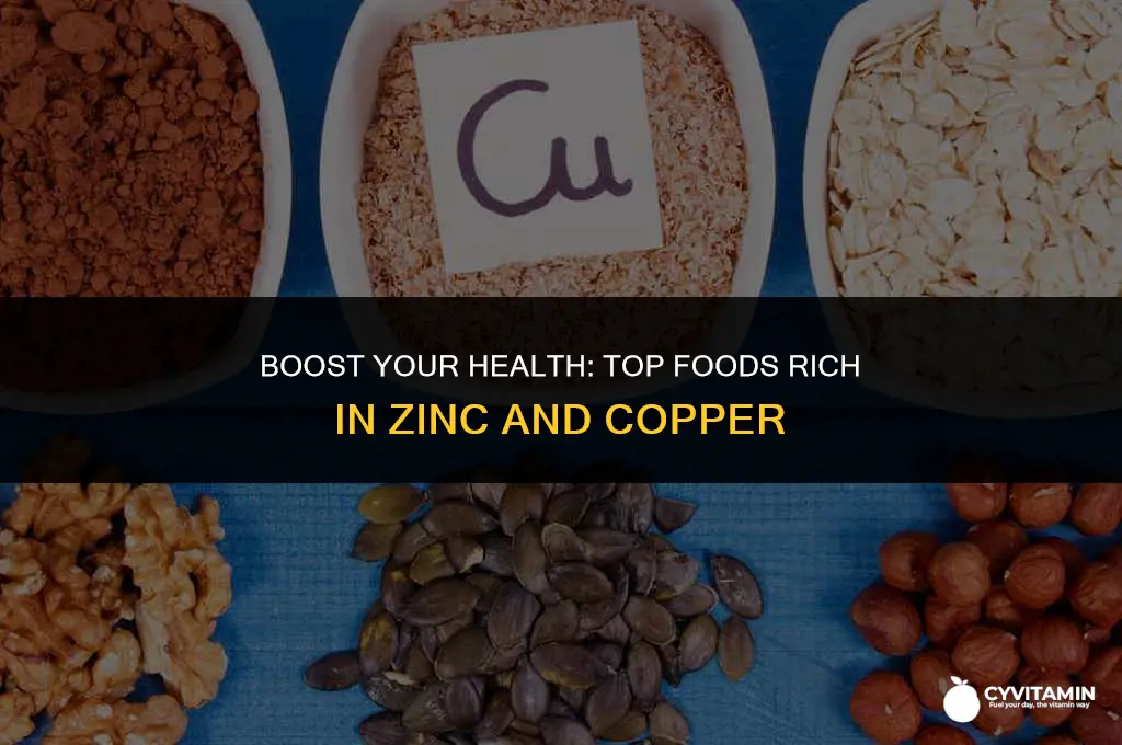 what foods have zinc and copper