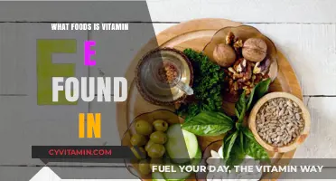 Exploring the Top Vitamin E-Rich Foods for a Healthy Diet