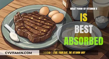 Maximizing Vitamin A Absorption: Which Form Works Best for You?
