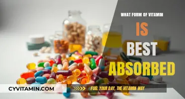 Maximizing Nutrient Intake: The Most Absorbable Vitamin Forms Revealed