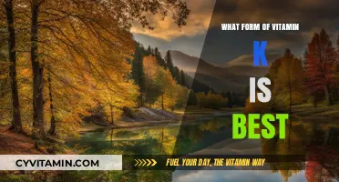 Vitamin K1 vs K2: Which Form Best Supports Your Health?