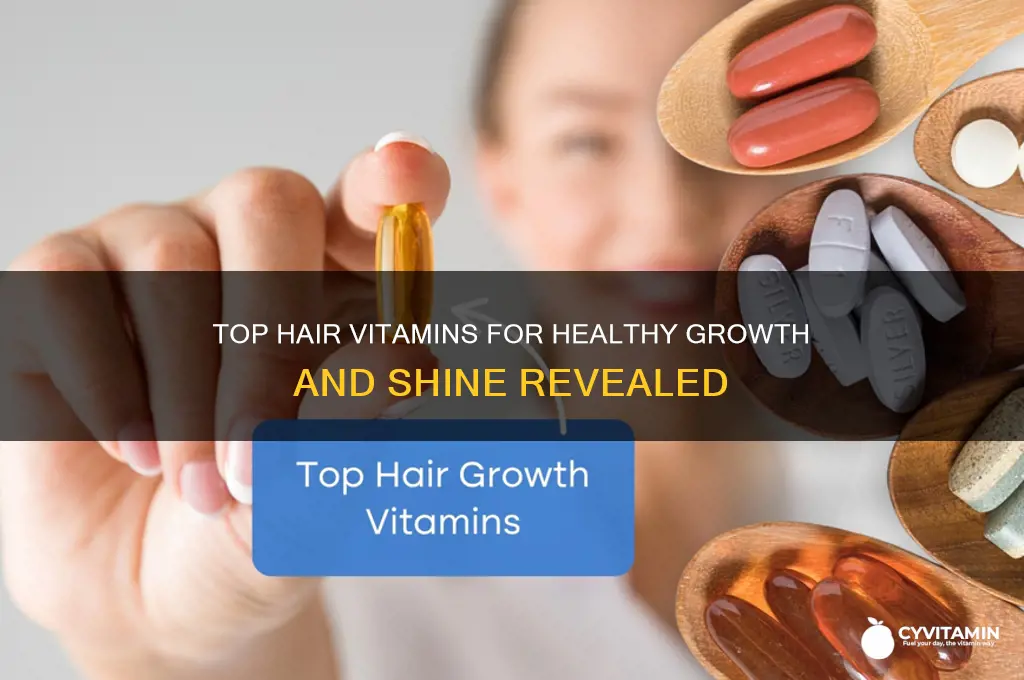 what hair vitamins are the best