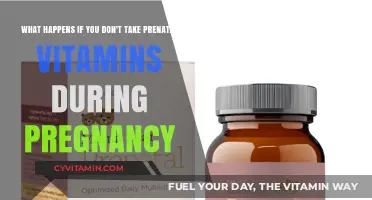 Prenatal Vitamins: Essential Nutrients for a Healthy Pregnancy Journey