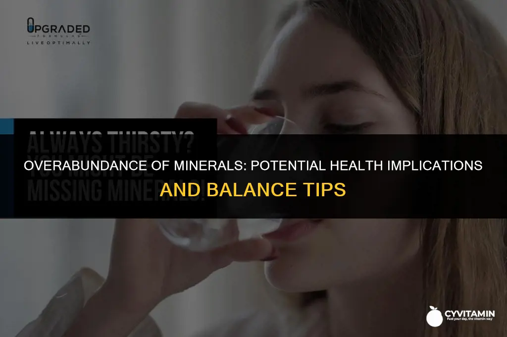 what happens if you have too many minerals