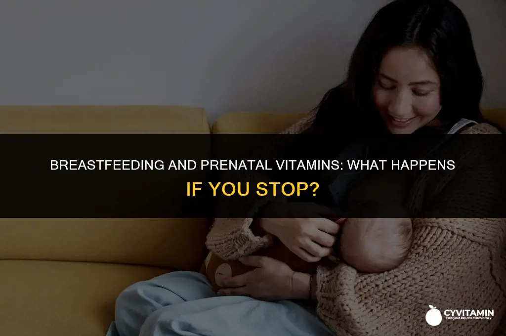 what happens if you stop taking prenatal vitamins while breastfeeding