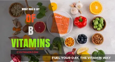 Boost Your Energy: Foods Rich in B Vitamins Revealed