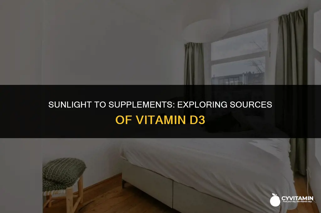 what has vitamin d3 in it