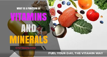 Unlocking Wellness: The Vital Role of Vitamins and Minerals