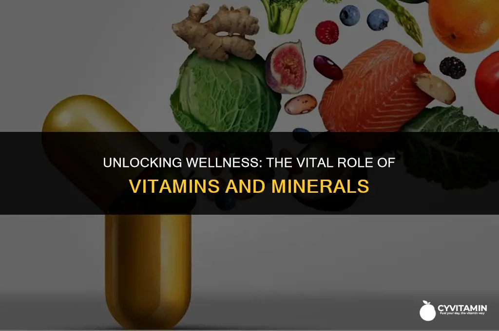 what is a function of vitamins and minerals