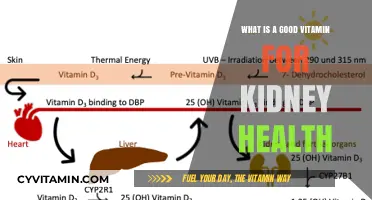 Boosting Kidney Health: The Power of Vitamin D