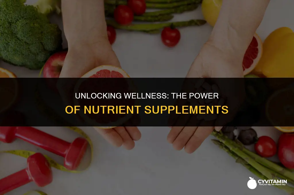 what is a nutrient supplement