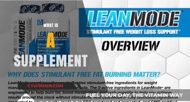 Exploring the Essentials: What Supplements Can Do for You