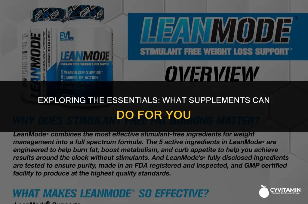 what is a supplement