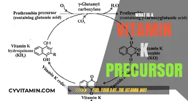 Unlocking the Power of Vitamin K: A Journey Through Its Precursors