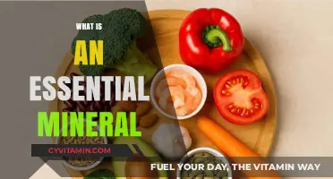 Unlocking the Power of Essential Minerals: A Guide to Optimal Health