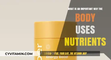 Fuel Your Body: The Vital Role of Nutrients in Optimal Health
