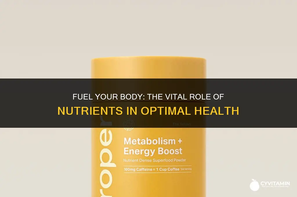 what is an important way the body uses nutrients