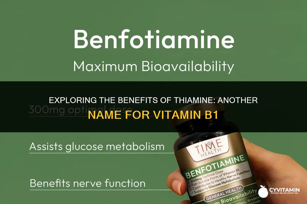 what is another name for the vitamin b1