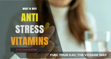 Top Anti-Stress Vitamins to Boost Your Mood and Calmness