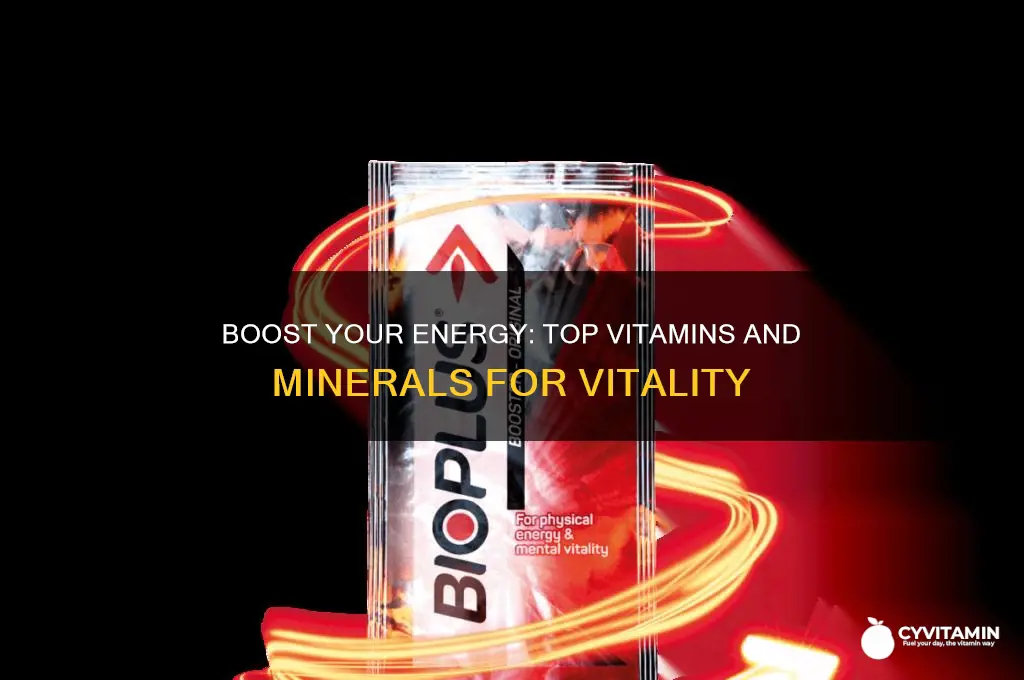 what is best energy builder vitamin or mineral