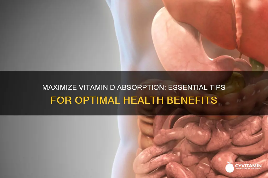 what is best for vitamin d absorption