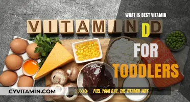 Top Vitamin D Supplements for Toddlers: Essential Choices for Growth