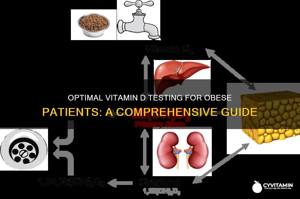 what is best vitamin d test for patients with obesity