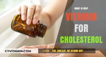 Top Vitamins to Naturally Lower Cholesterol Levels Effectively
