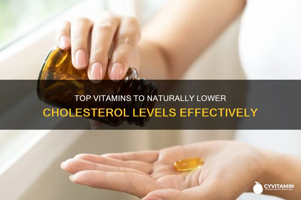 what is best vitamin for cholesterol