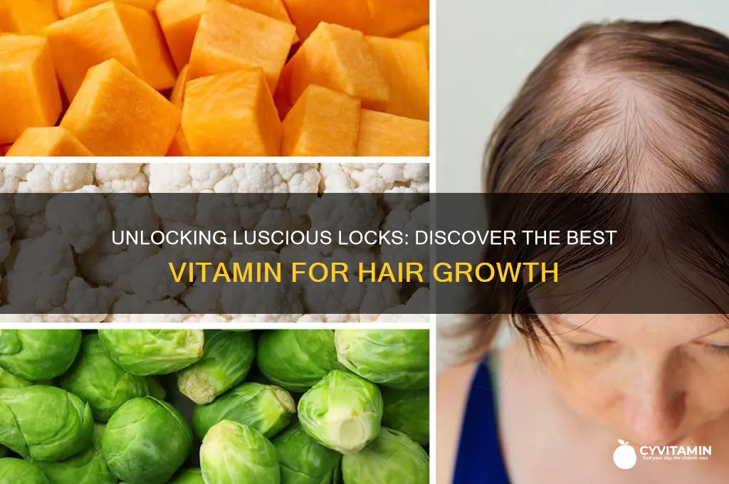 what is best vitamin for hair