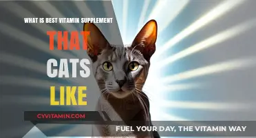 Top Cat-Friendly Vitamin Supplements: What Felines Love and Need