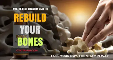 Essential Vitamins for Strong Bones: Rebuild and Strengthen Naturally
