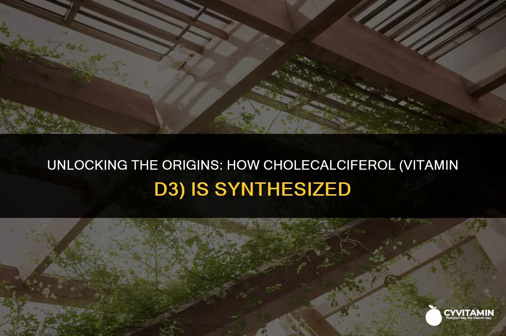 what is cholecalciferol vitamin d3 made from