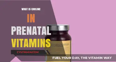 Unlocking the Power of Choline in Prenatal Vitamins: A Guide for Expecting Moms