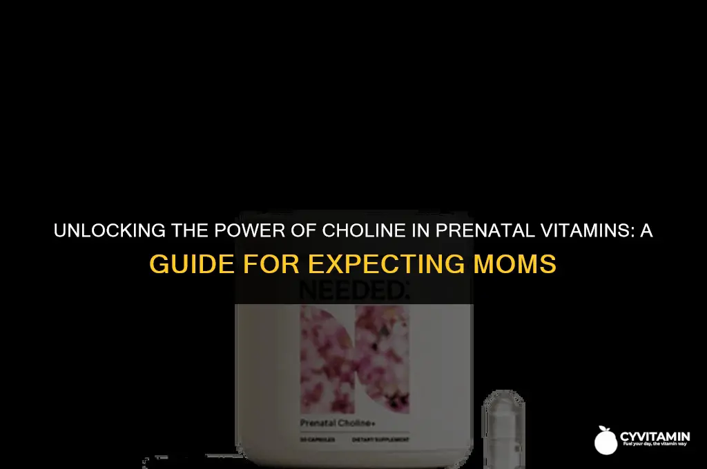 what is choline in prenatal vitamins