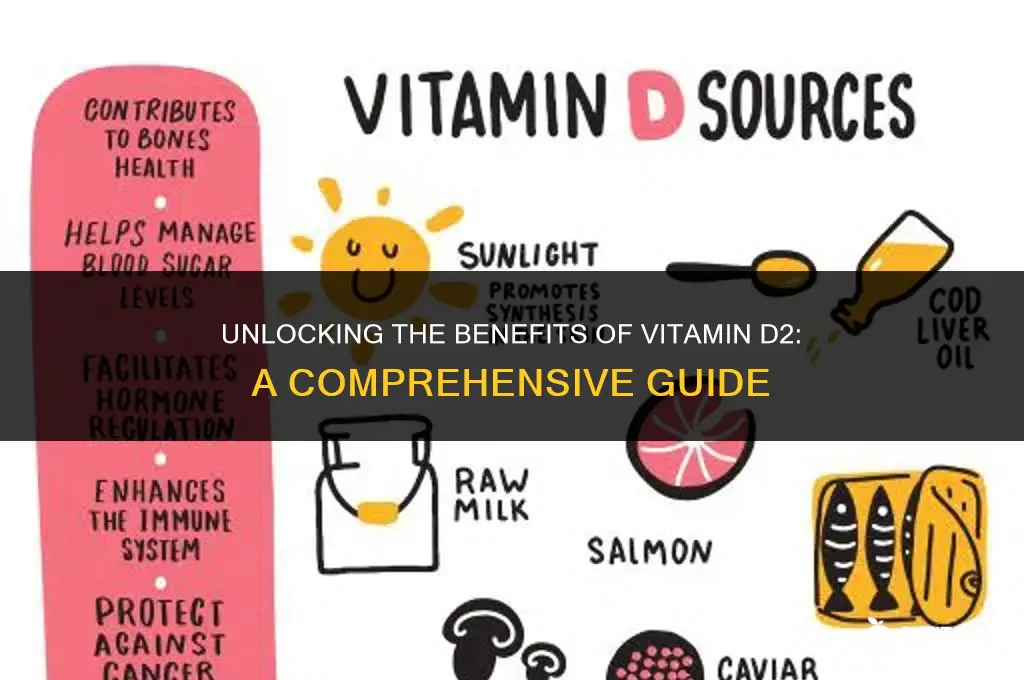 what is d2 vitamin used for