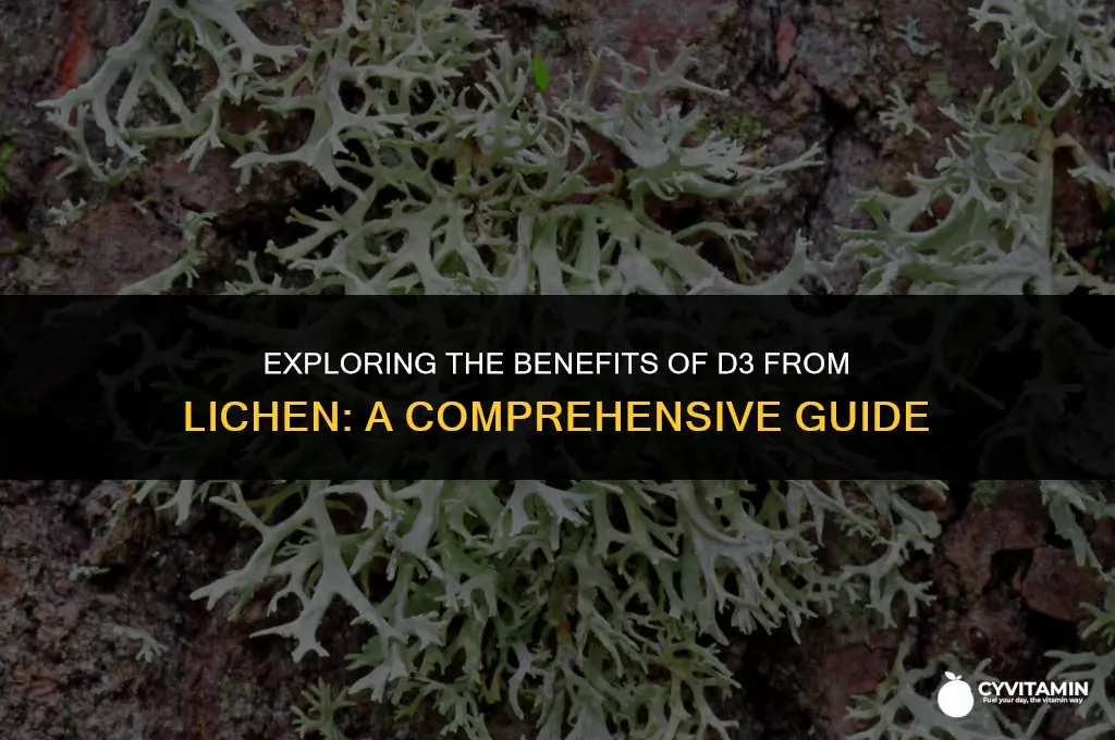what is d3 from lichen
