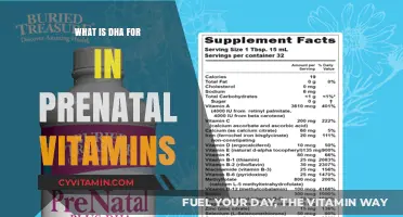 The Essential Role of DHA in Prenatal Vitamins: A Complete Guide