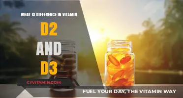 Exploring the Key Differences Between Vitamin D2 and D3
