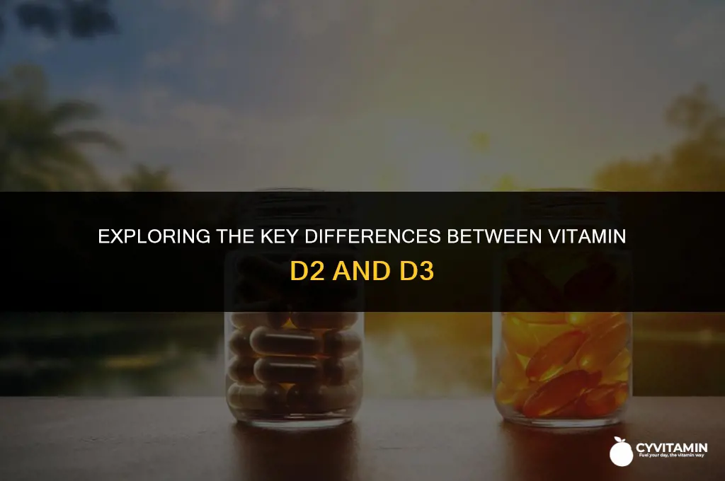 what is difference in vitamin d2 and d3