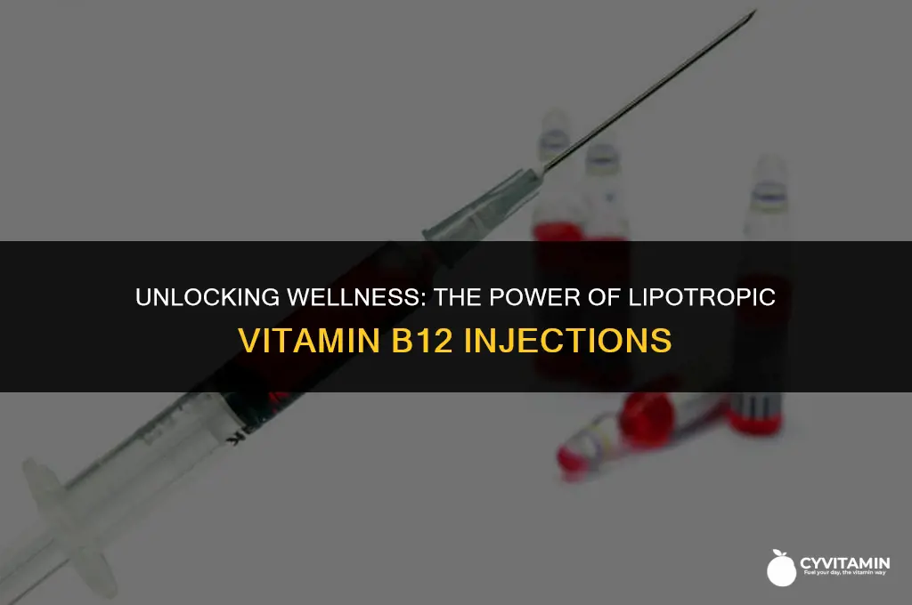 what is lipotropic vitamin b12 injections