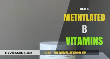 Unlocking the Power of Methylated B Vitamins: A Comprehensive Guide