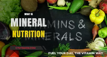 Unlocking the Essentials: A Guide to Mineral Nutrition