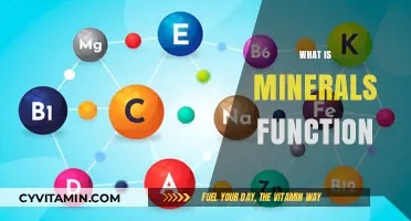 Unlocking the Power of Minerals: Essential Functions for Optimal Health