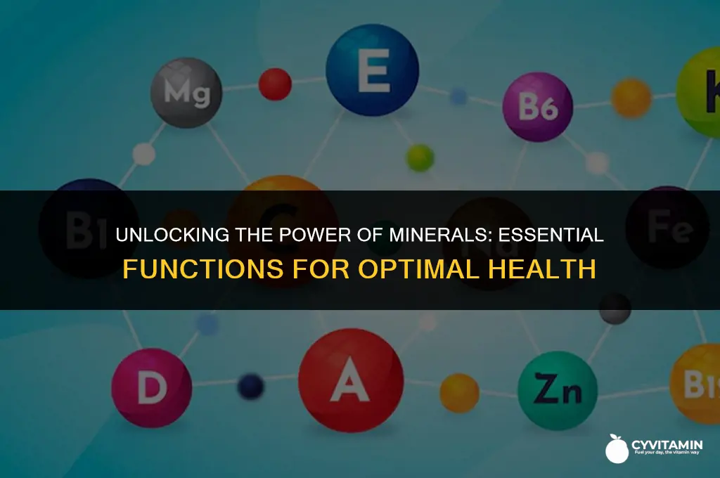 what is minerals function