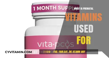 Nourishing Beginnings: The Essential Role of Prenatal Vitamins