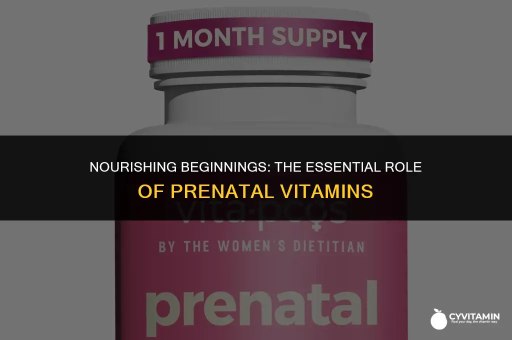 what is prenatal vitamins used for